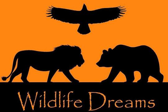 Wildlife Dreams-雾观必去景点