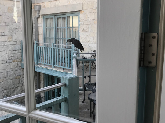 Hyatt Regency Hill Country Resort and Villas主图