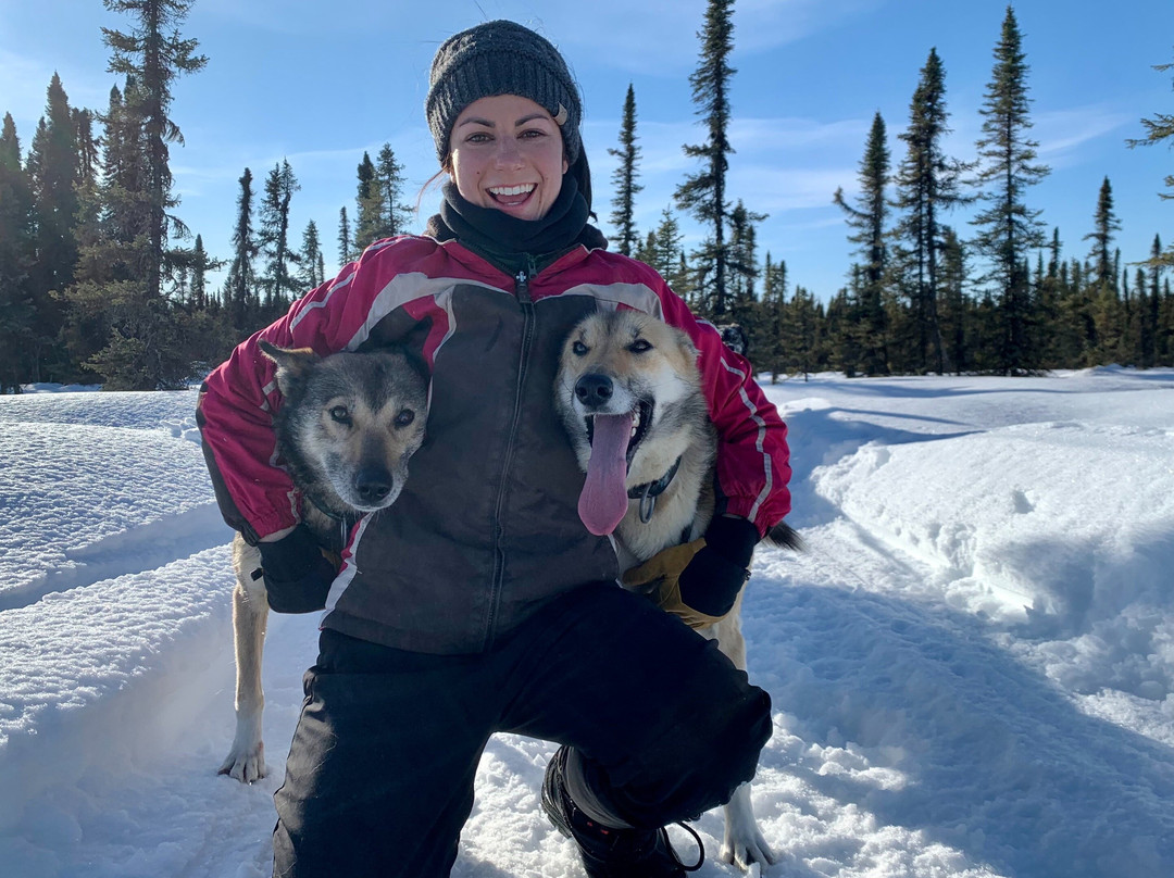 Alaskan Husky Adventures-安克雷奇必去景点