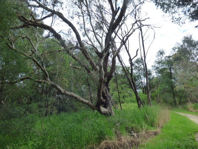 Yea Wetlands-Yea必去景点