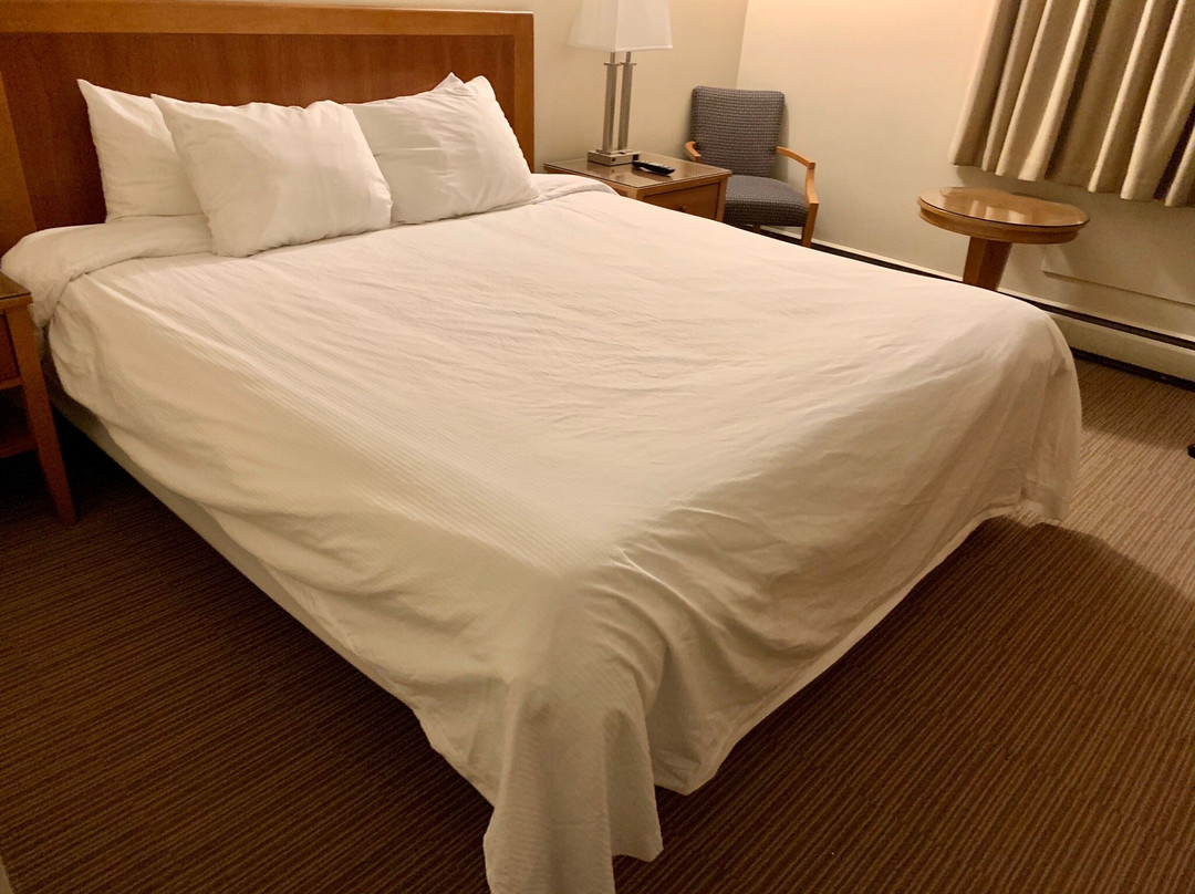 Twin Pine Motor Inn主图