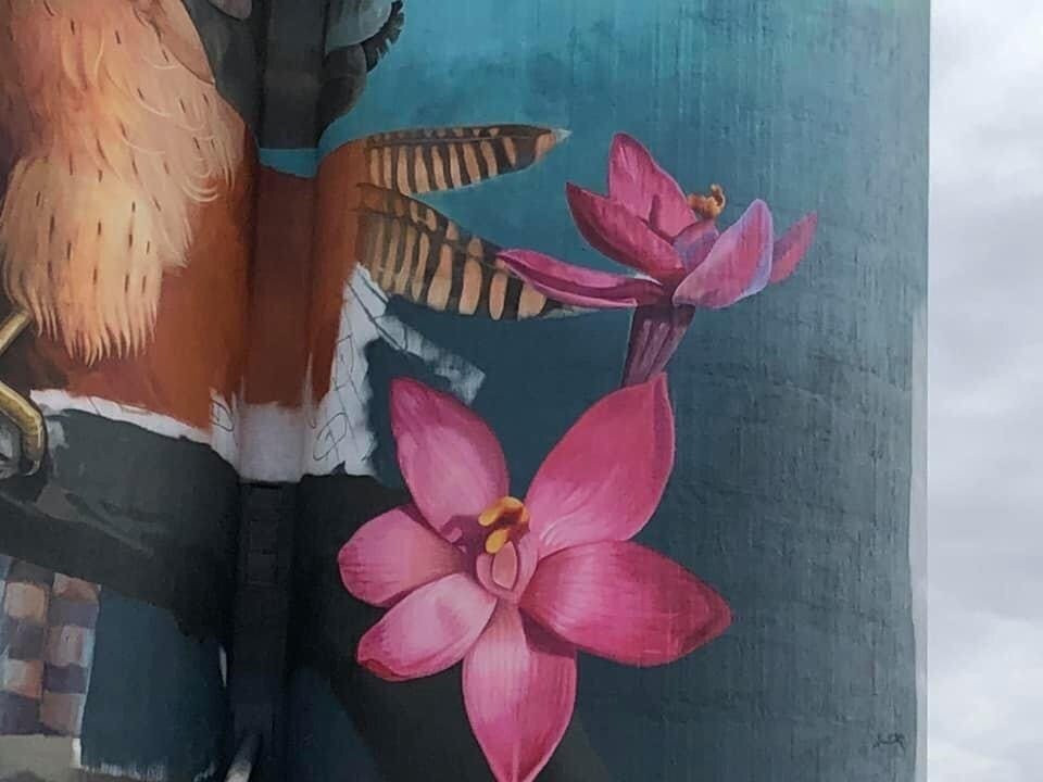 Kaniva Silo Art-Kaniva必去景点