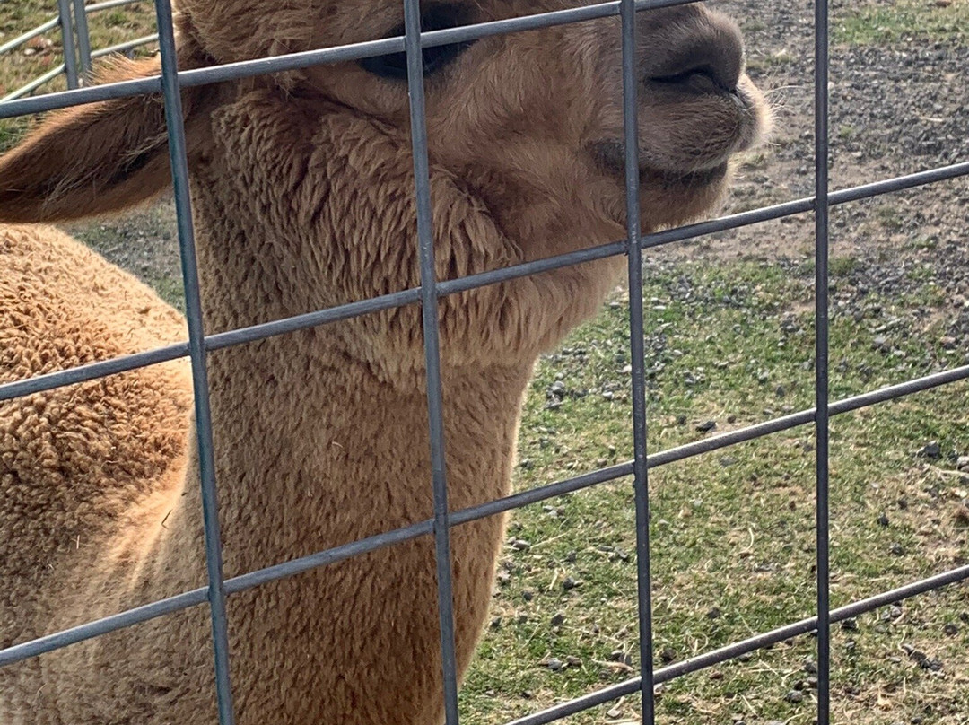 Crescent Moon Ranch-Terrebonne必去景点
