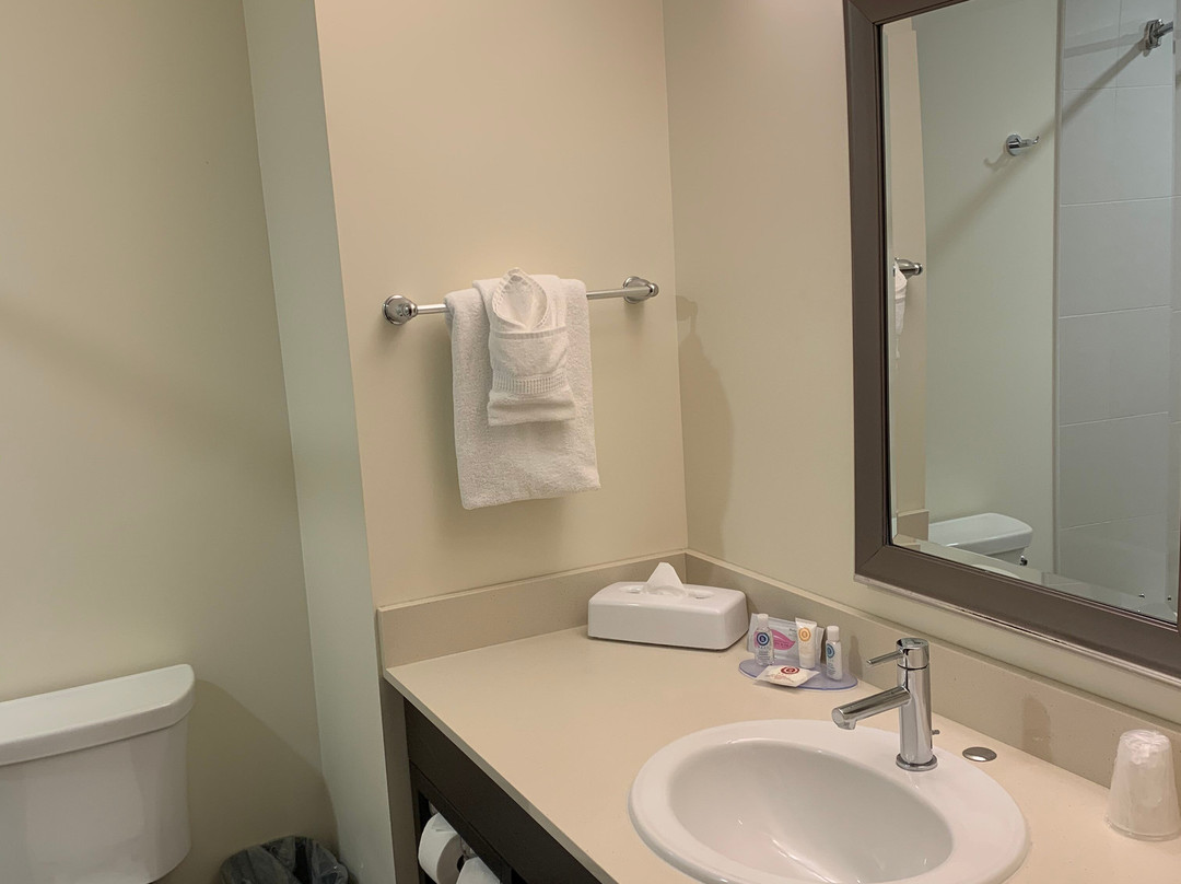 Comfort Inn & Suites Terrace主图