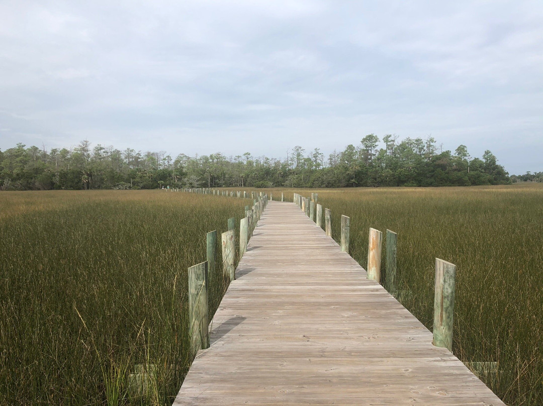 Mount Pleasant Palmetto Islands County Park景点图片