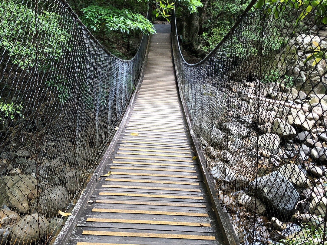 Minnamurra Rain Forest Centre景点图片