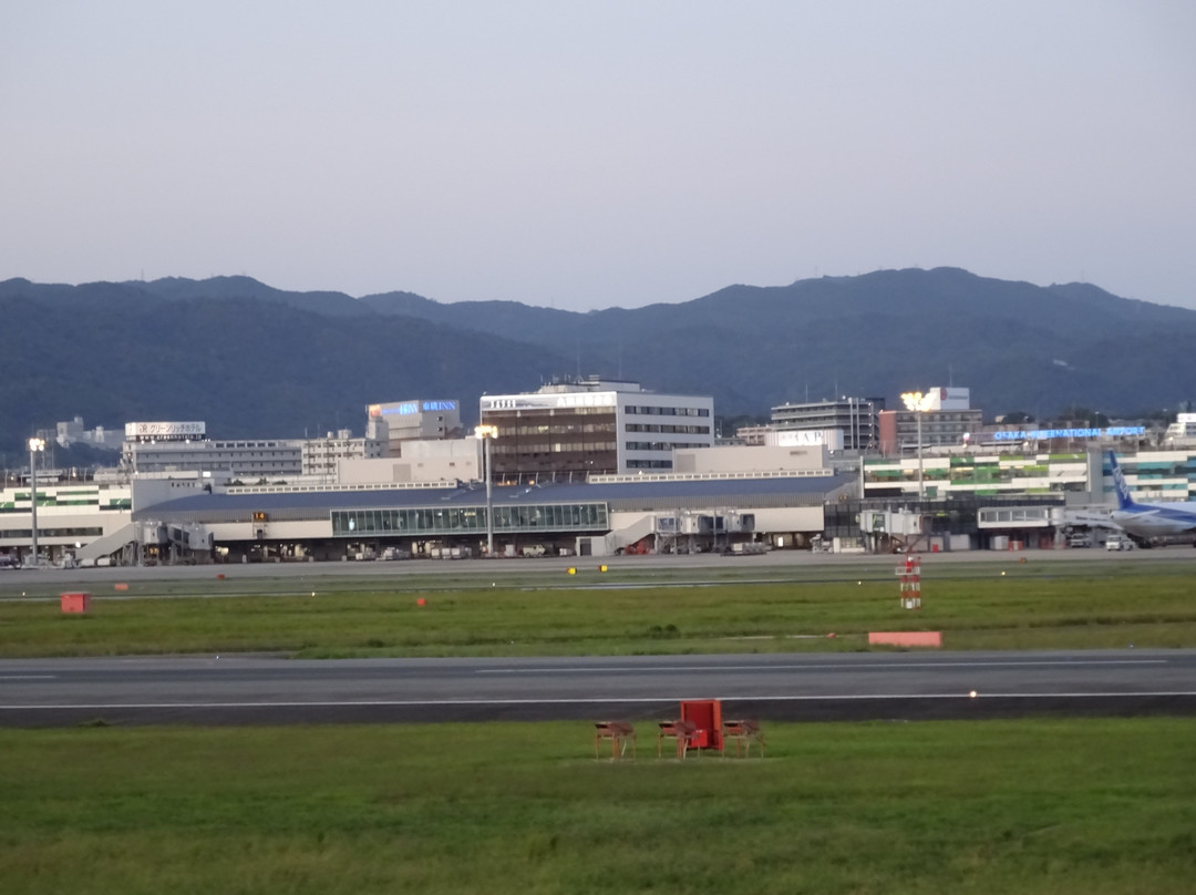 Itami Sky Park-伊丹市必去景点