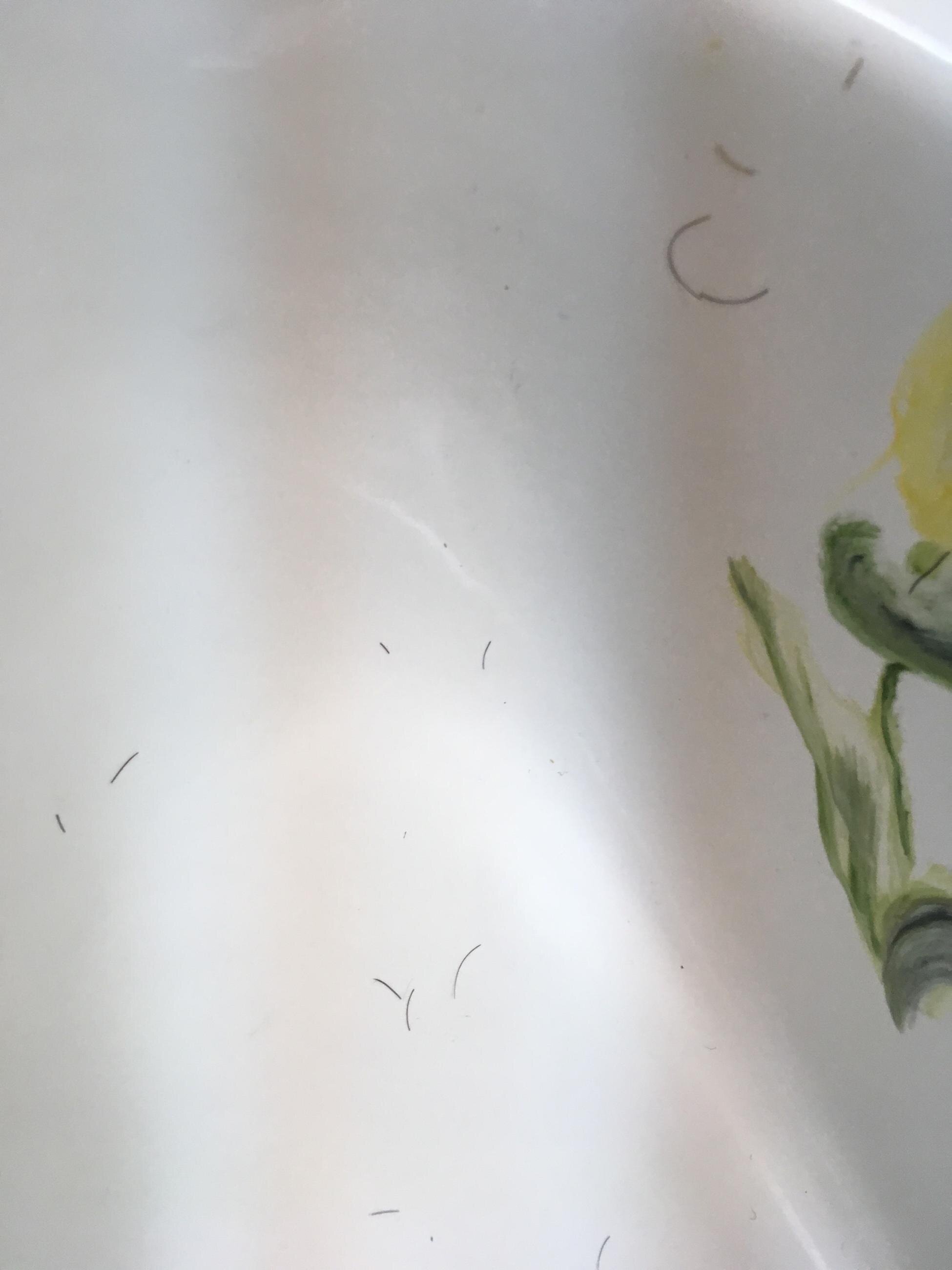 Sweet Breeze Inn-官方