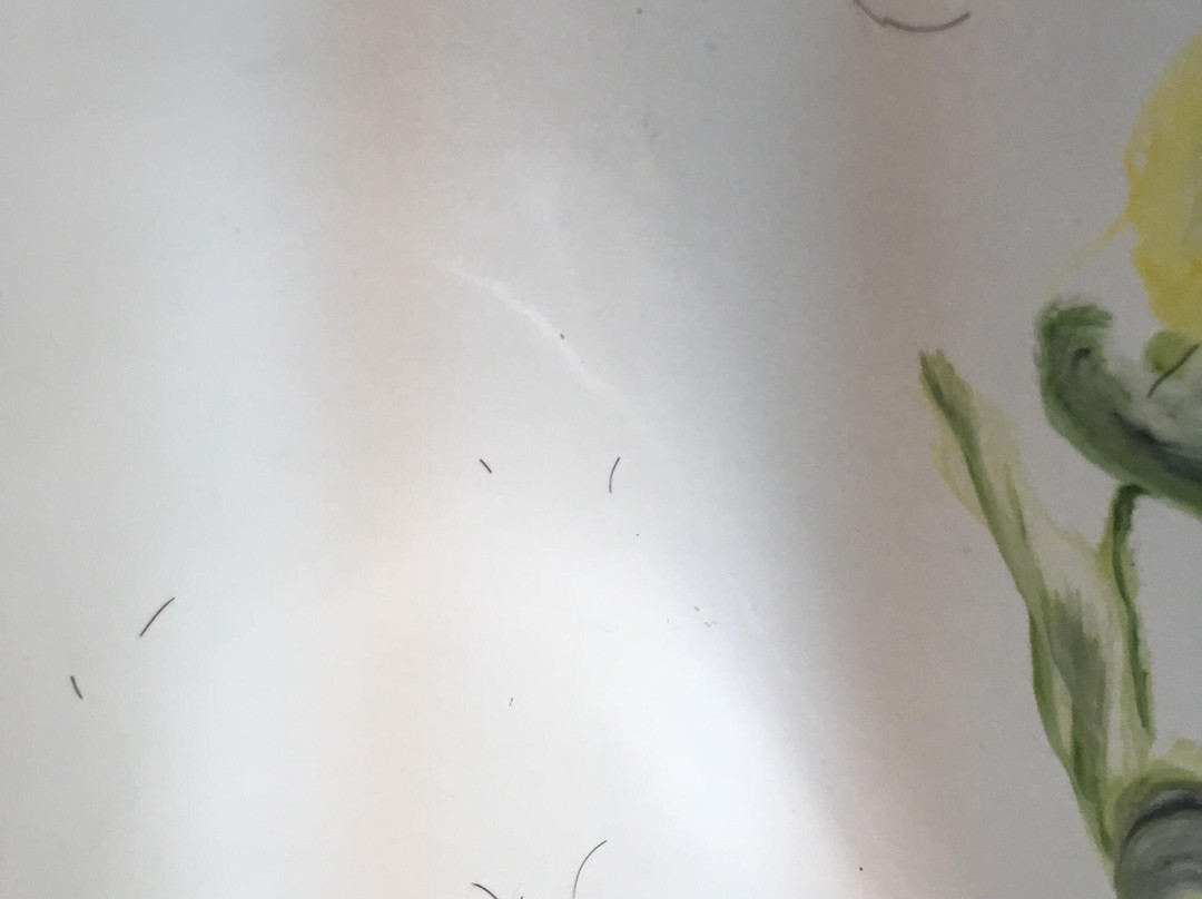 Merlin酒店住宿-Sweet Breeze Inn