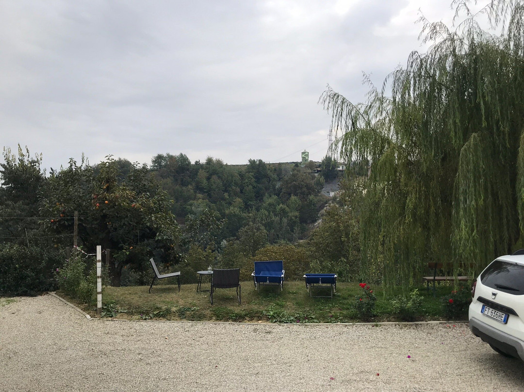 Il Bosco Delle Torte主图