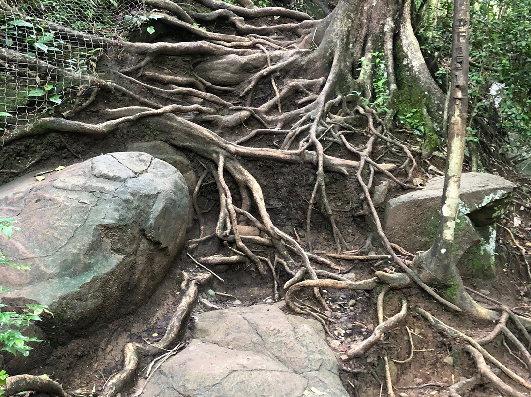 Cascade Le Saut de L'Acomat景点图片