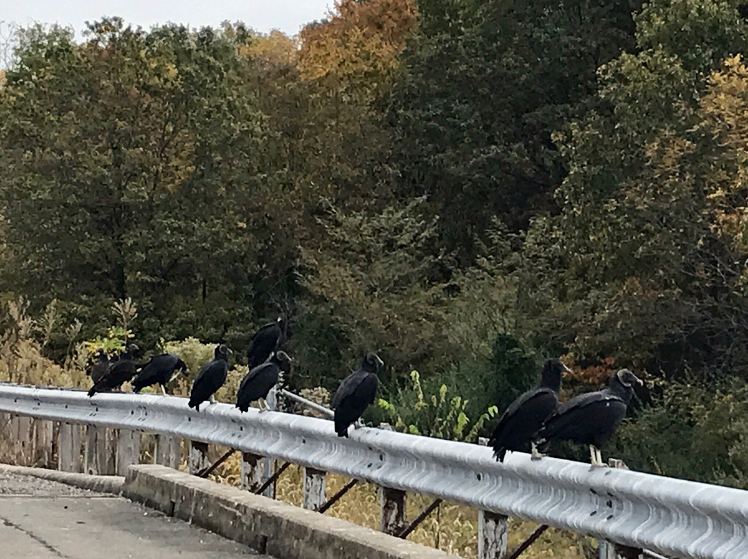 Stephen A Forbes State Park-Kinmundy必去景点