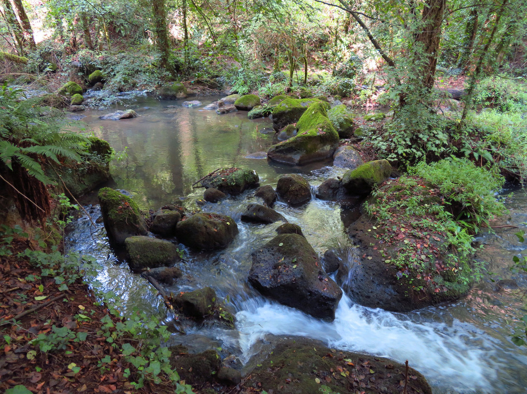 Cascata del Picchio-Nepi必去景点