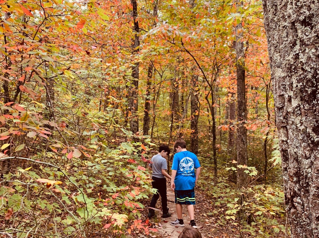 Falling Water Falls-Signal Mountain必去景点