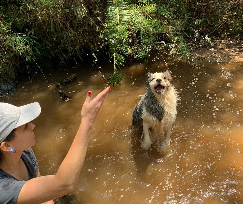 Pousada Pinho Bravo主图