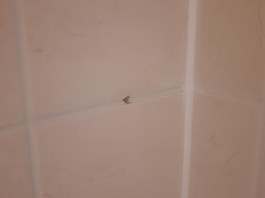 麦克唐纳泰晤垂纶酒店主图