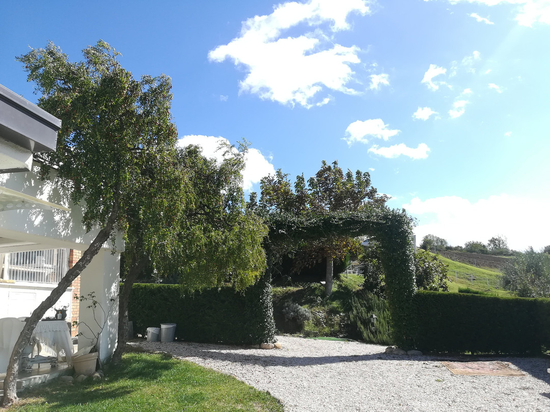 Villa Tamara主图
