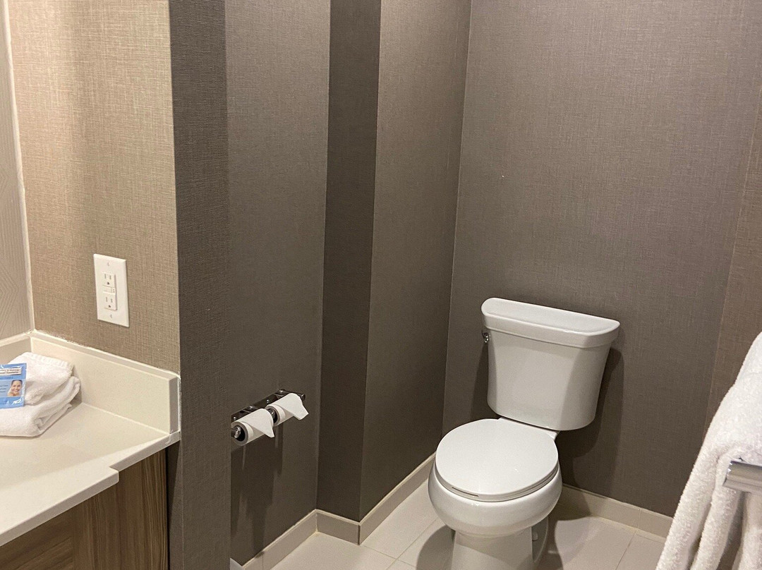 SpringHill Suites by Marriott Dallas McKinney主图