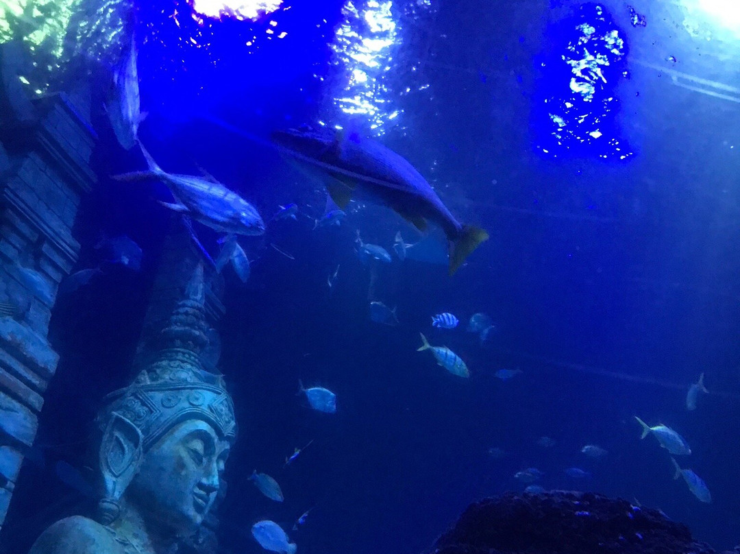 Lido di Jesolo Sea Life Aquarium-耶索洛必去景点