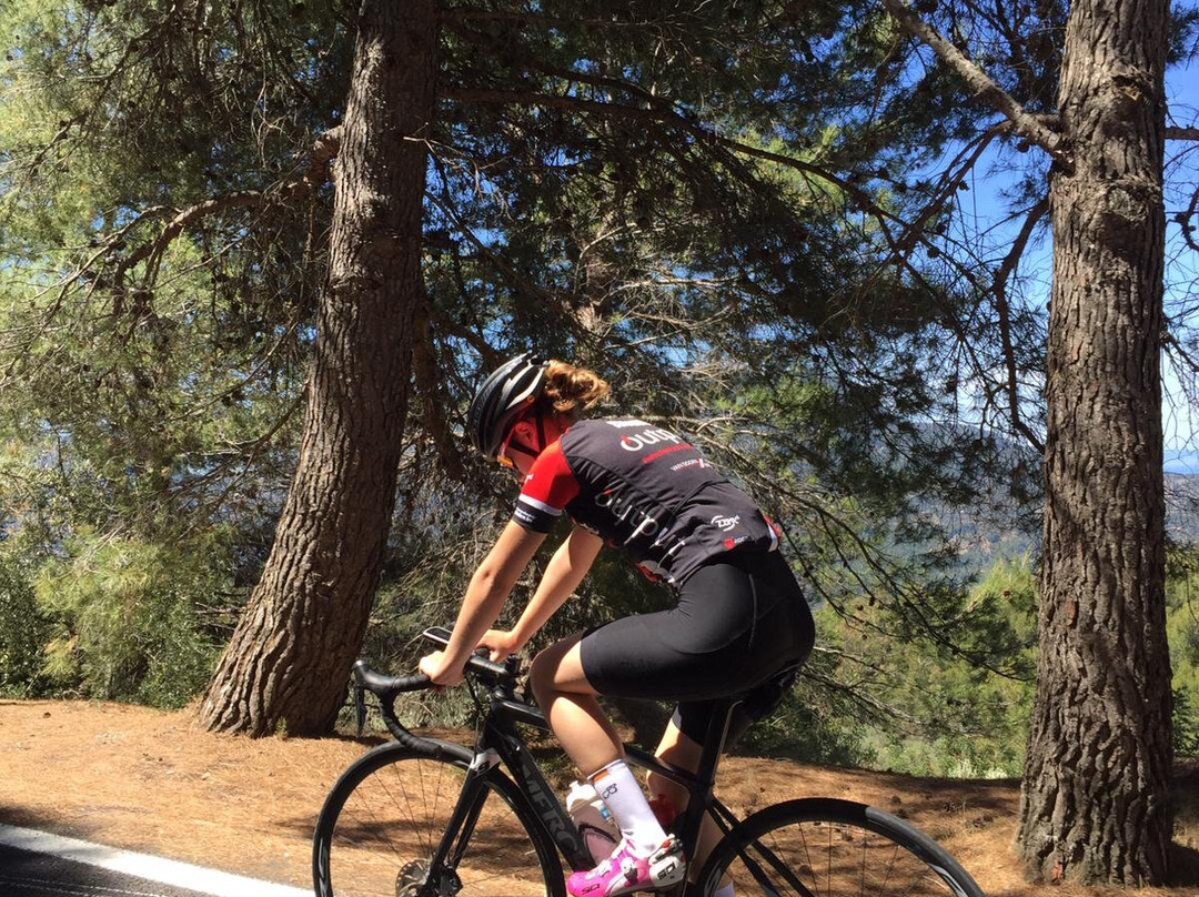 Clips Mallorca Cycling | bike rental Can Pastilla-坎帕斯蒂利亚必去景点