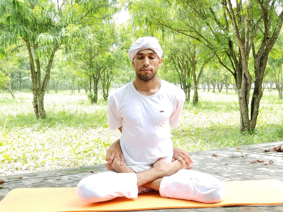 Svadhyaya Kosha景点图片