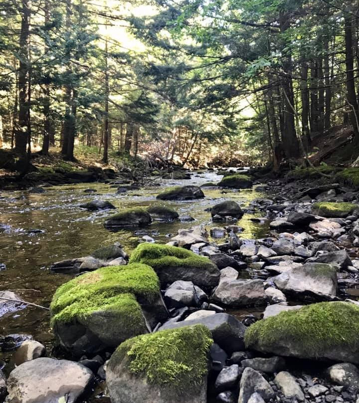 Interstate Falls-Ironwood必去景点