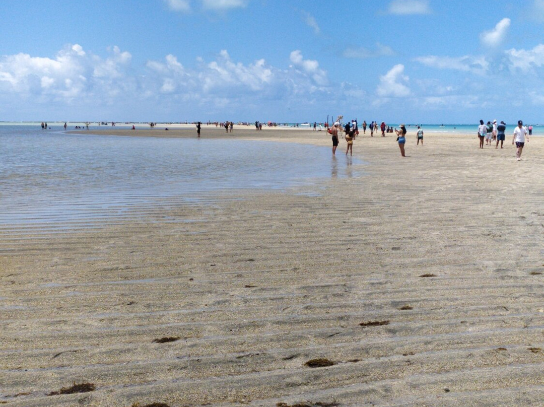 Barra Grande Beach-Maragogi必去景点