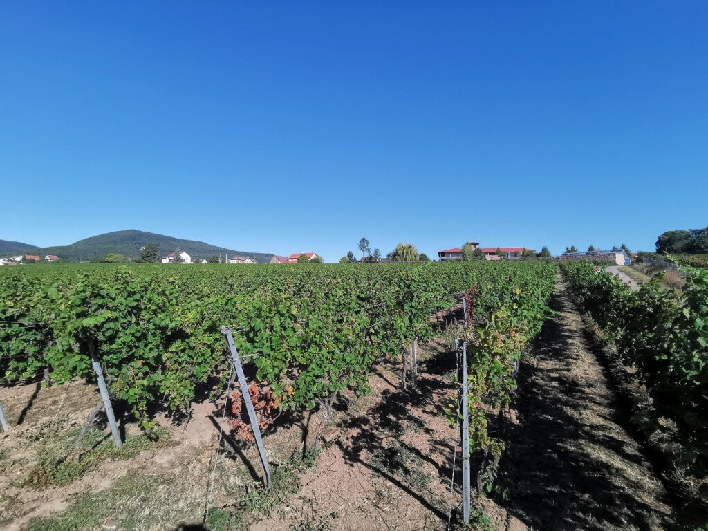 普瑞泽格特酒店主图