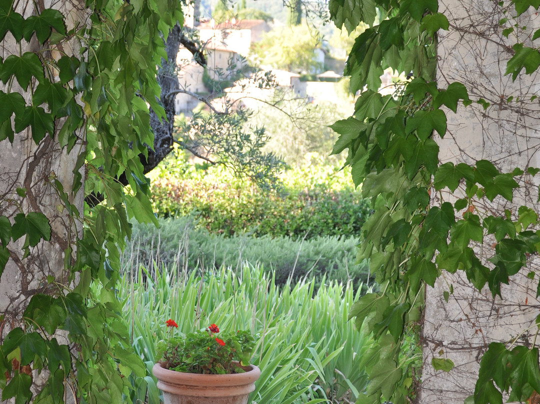 Azienda Agricole Frascole-Dicomano必去景点