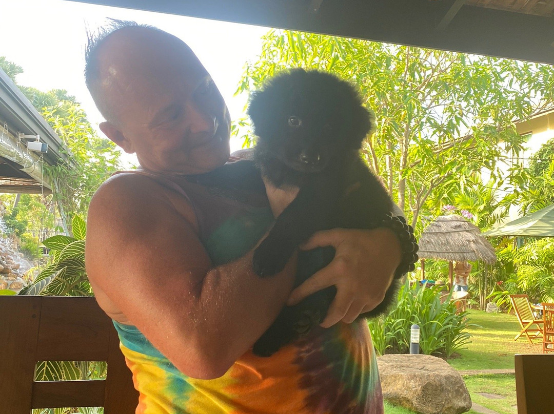 Dream Garden Resort主图