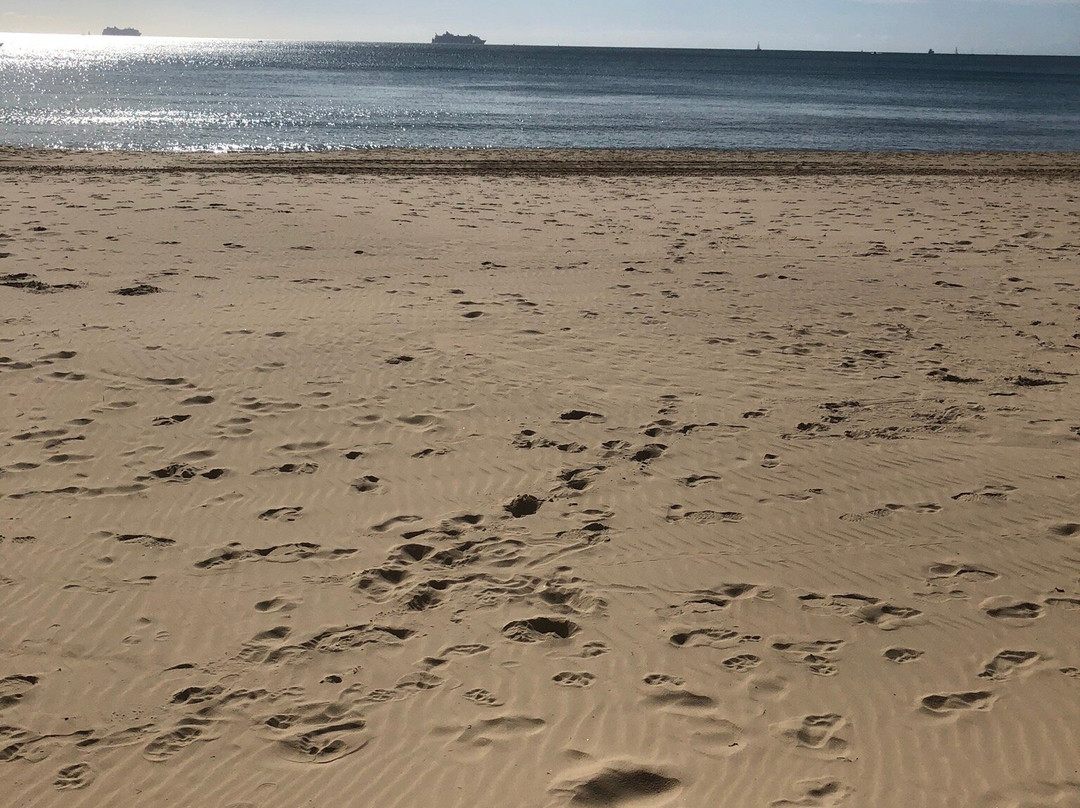 伯恩茅斯海滩景点图片