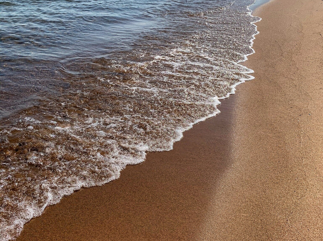 Tourist Park (Fat Ladies Beach)-Menominee必去景点