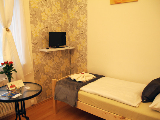 Penzion Alfa Podebrady主图