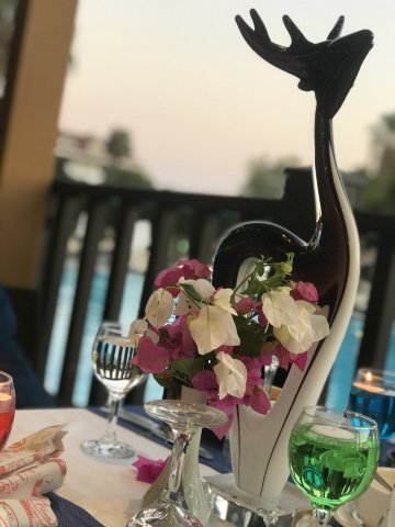 Alba Resort Hotel-餐饮