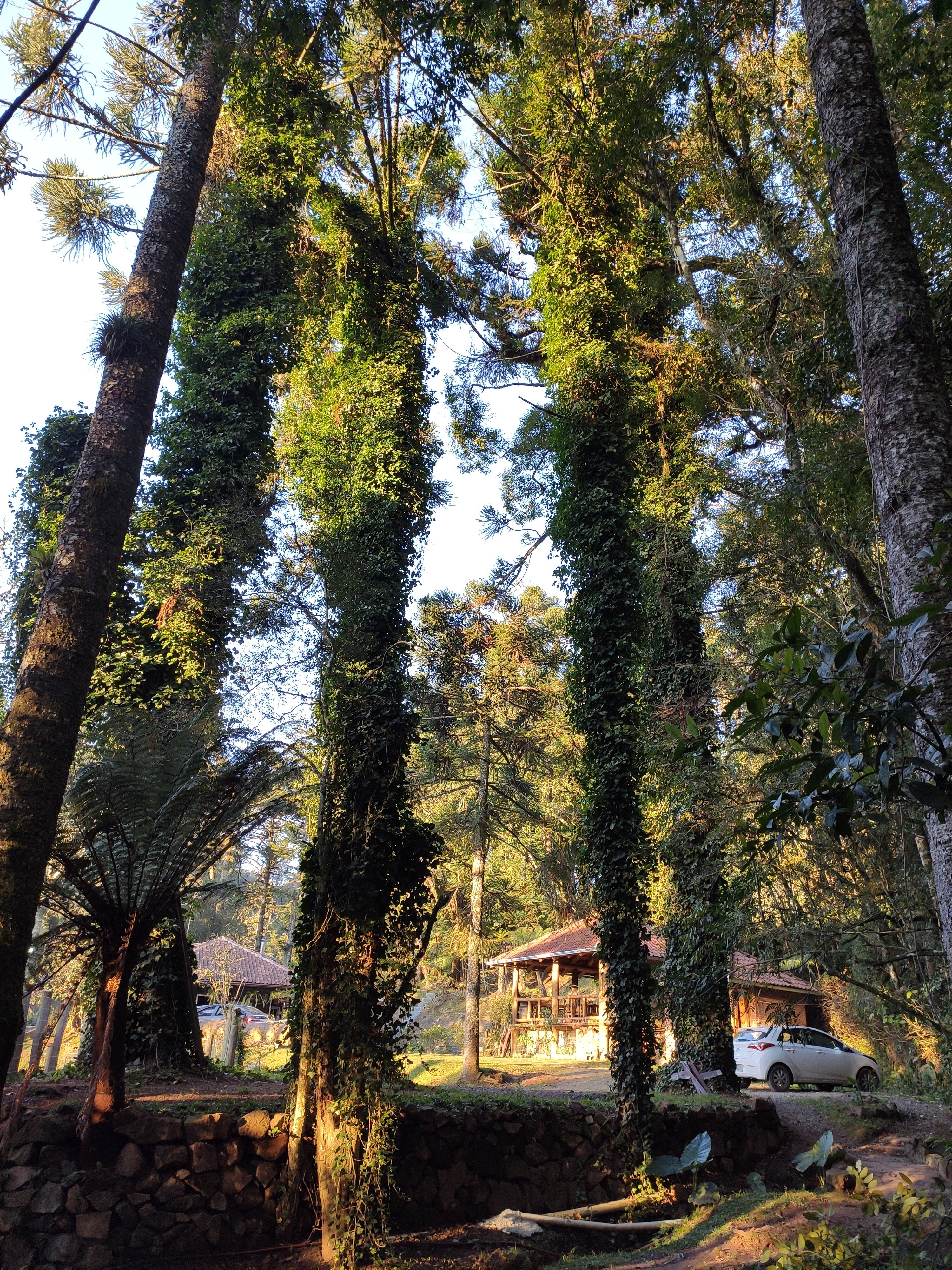 Hotel Parador Hampel-家庭/游戏区