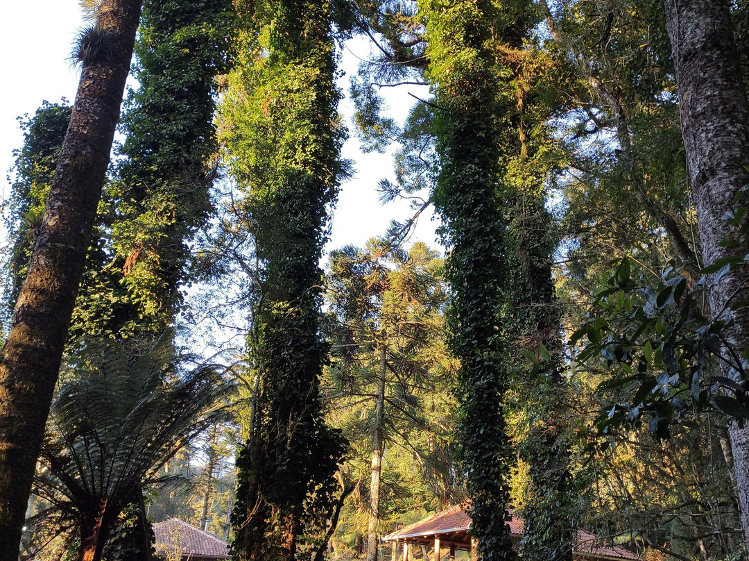 Hotel Parador Hampel主图