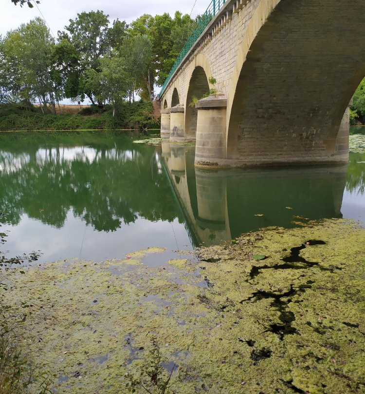 Indiana River Camargue景点图片