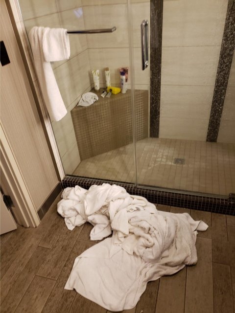 Viejas Casino & Resort-浴室