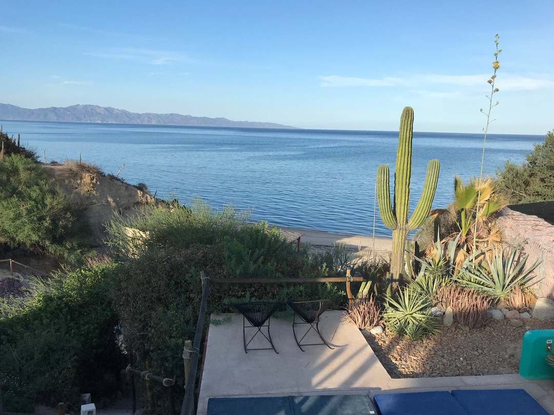 Palapas Ventana主图