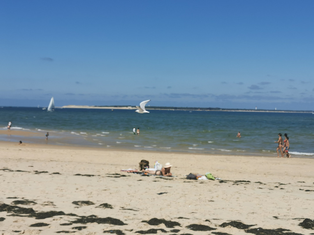 Banc D'arguin-Pyla-sur-Mer必去景点