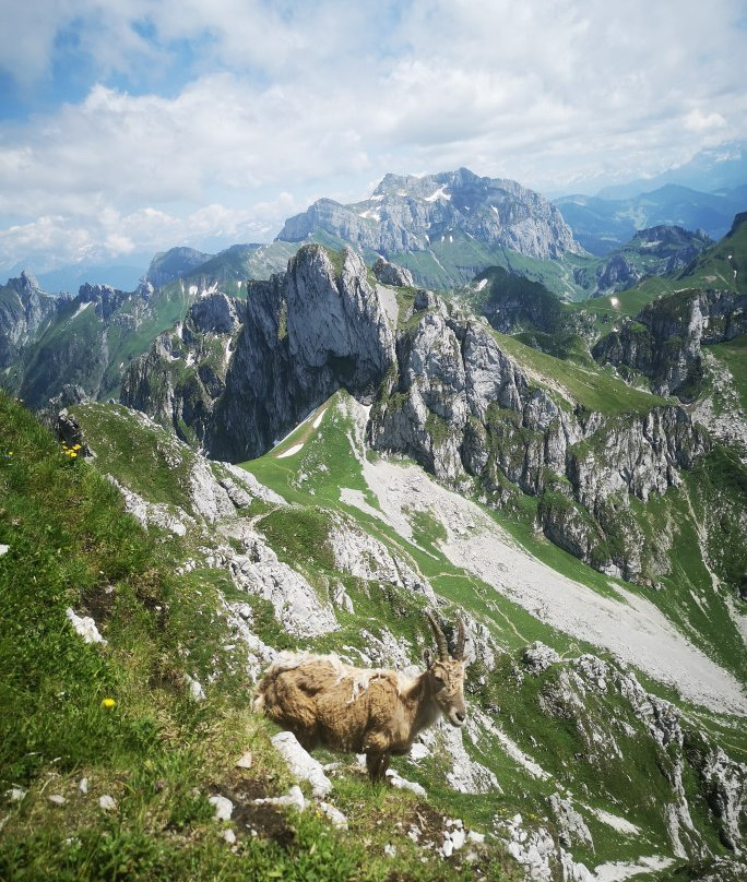Randonnée Alpage景点图片
