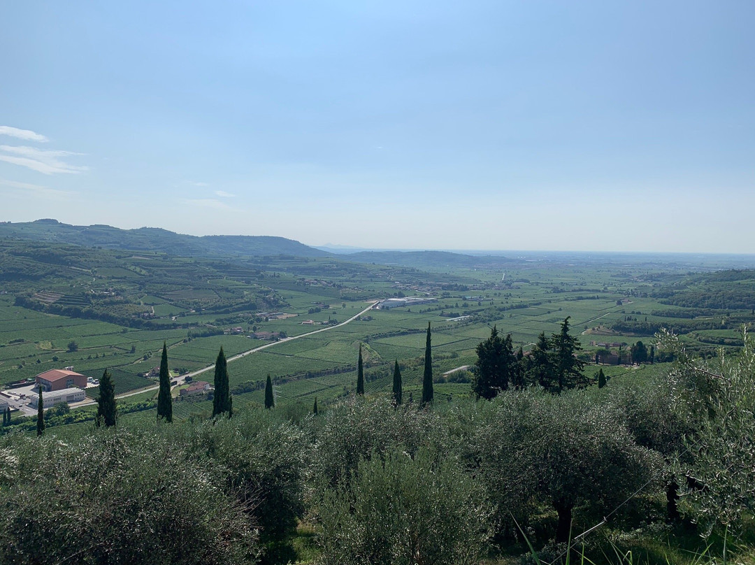 Azienda Agricola Trabucchi景点图片