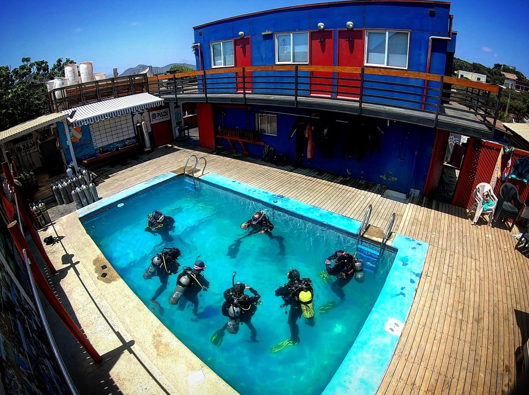 Buceo Pichidangui Dive Center景点图片