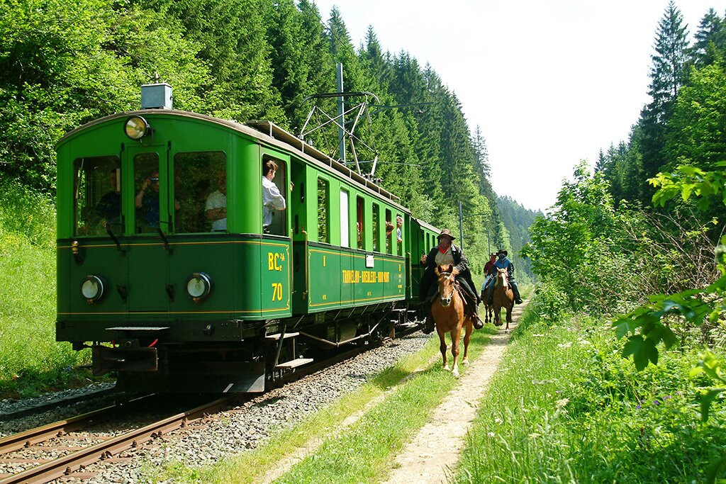 Franches-Montagnes Steam Train景点图片
