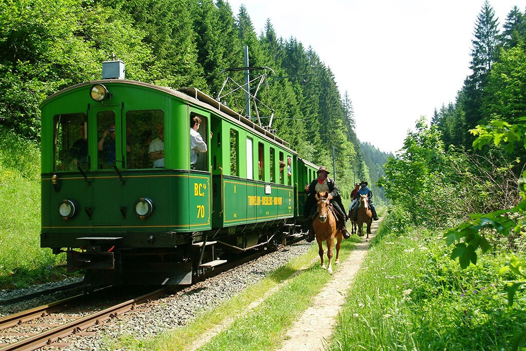 Franches-Montagnes Steam Train-Saignelégier必去景点