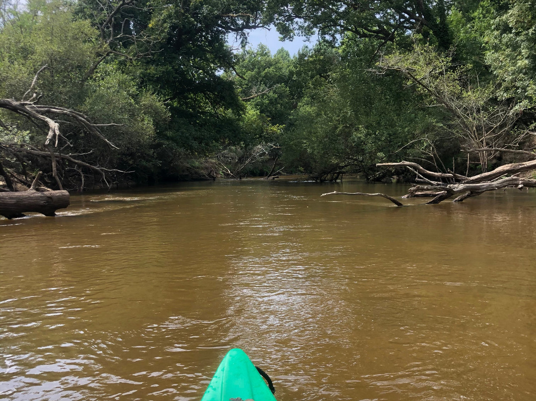 Lou Canoe景点图片