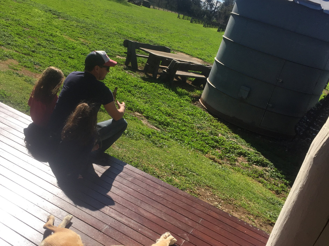 Lazy River Estate-达博必去景点