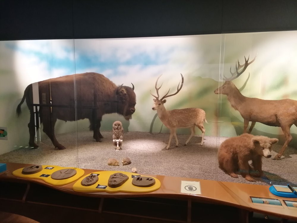 Muséum de Grenoble-格勒诺布尔必去景点