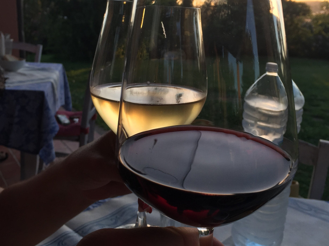 Agriturismo Pian Dei Pini主图