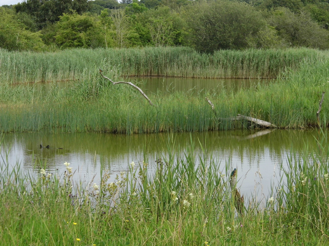 Welsh Wildlife Centre-Cardigan必去景点